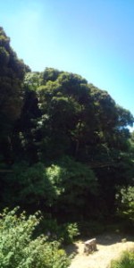 20100718114434.jpg